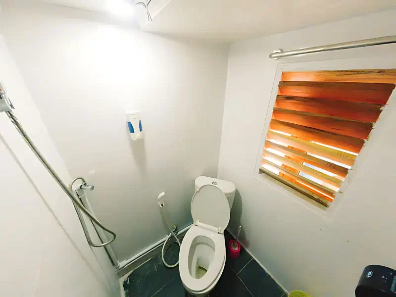 阿尔玛迪拉号 船图 7