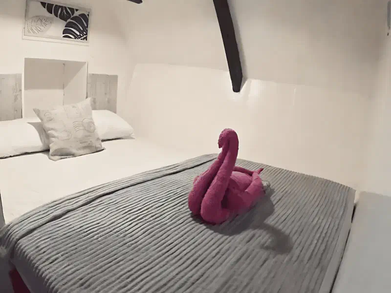 阿蒂拉号 船图 4