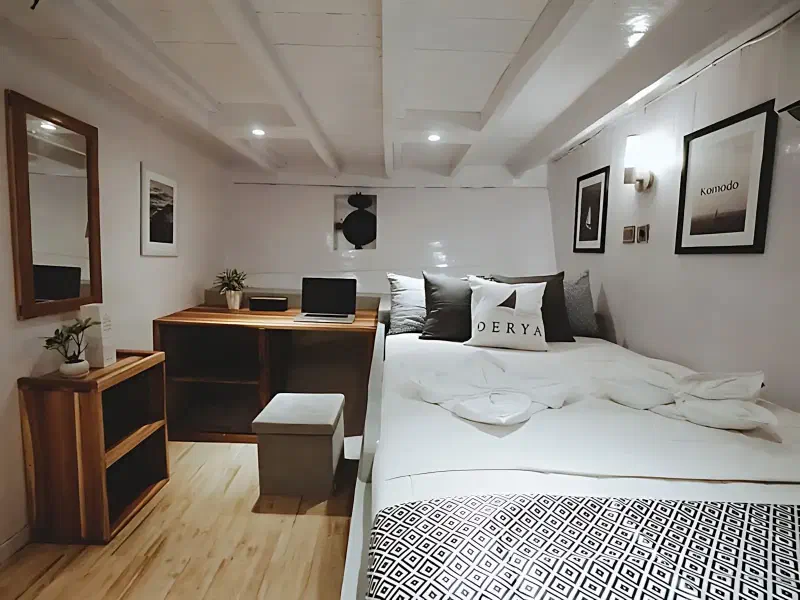 德莉亚号 船图 5