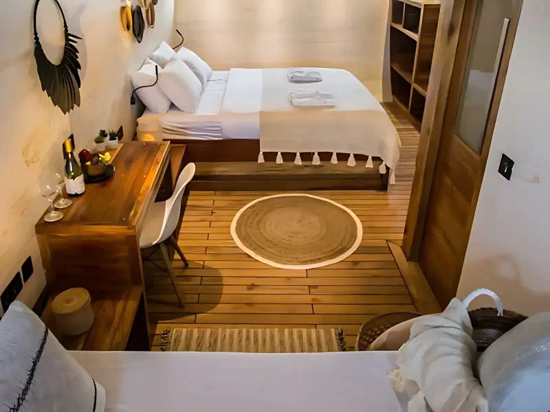 菲尼德斯号 船图 5