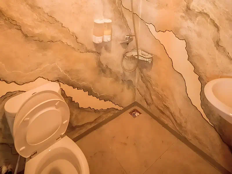 兰博拉乔二号 船图 10