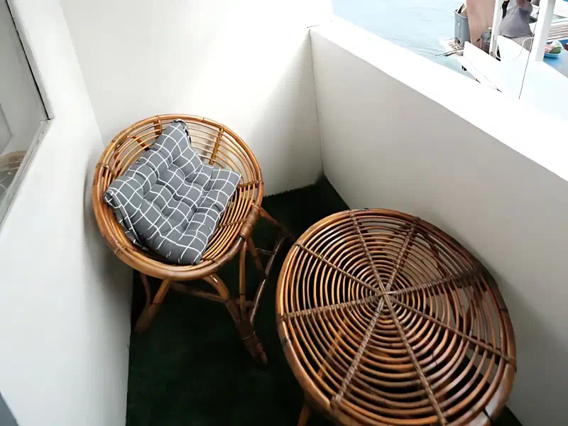 拉妮萨号 船图 2