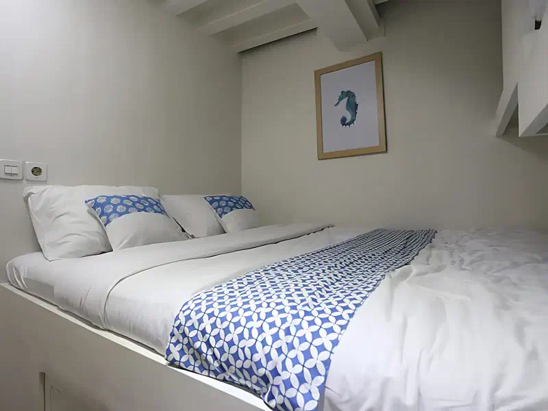 莱蒂西亚号 船图 2