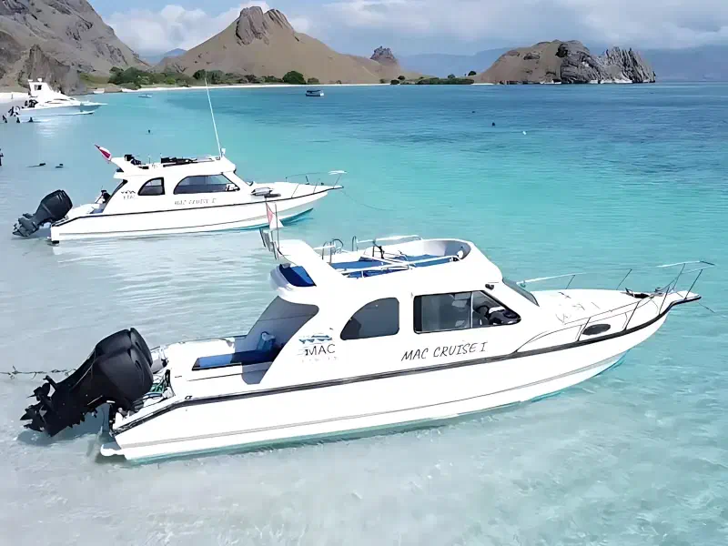 麦克快航号 船图 3