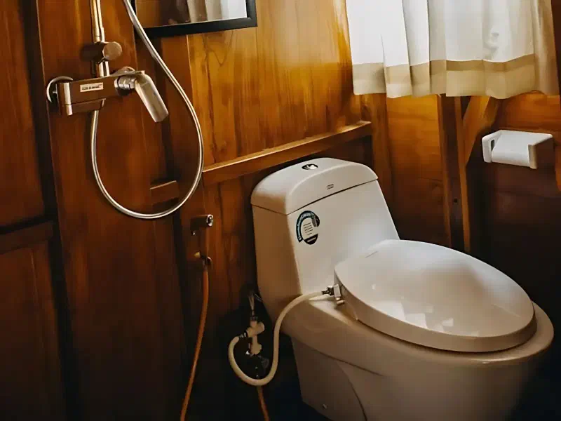 白珍珠二号 船图 4