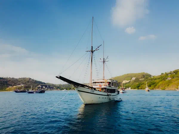 Alfathran 3