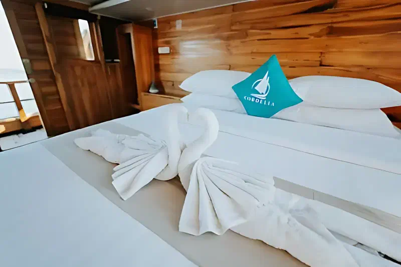 科迪莉亚号 船图 9