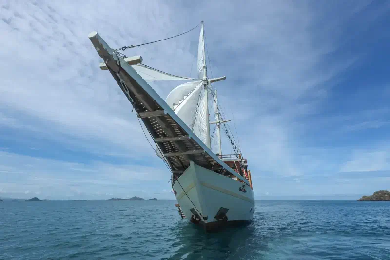 埃尔洛拉号 船图 2