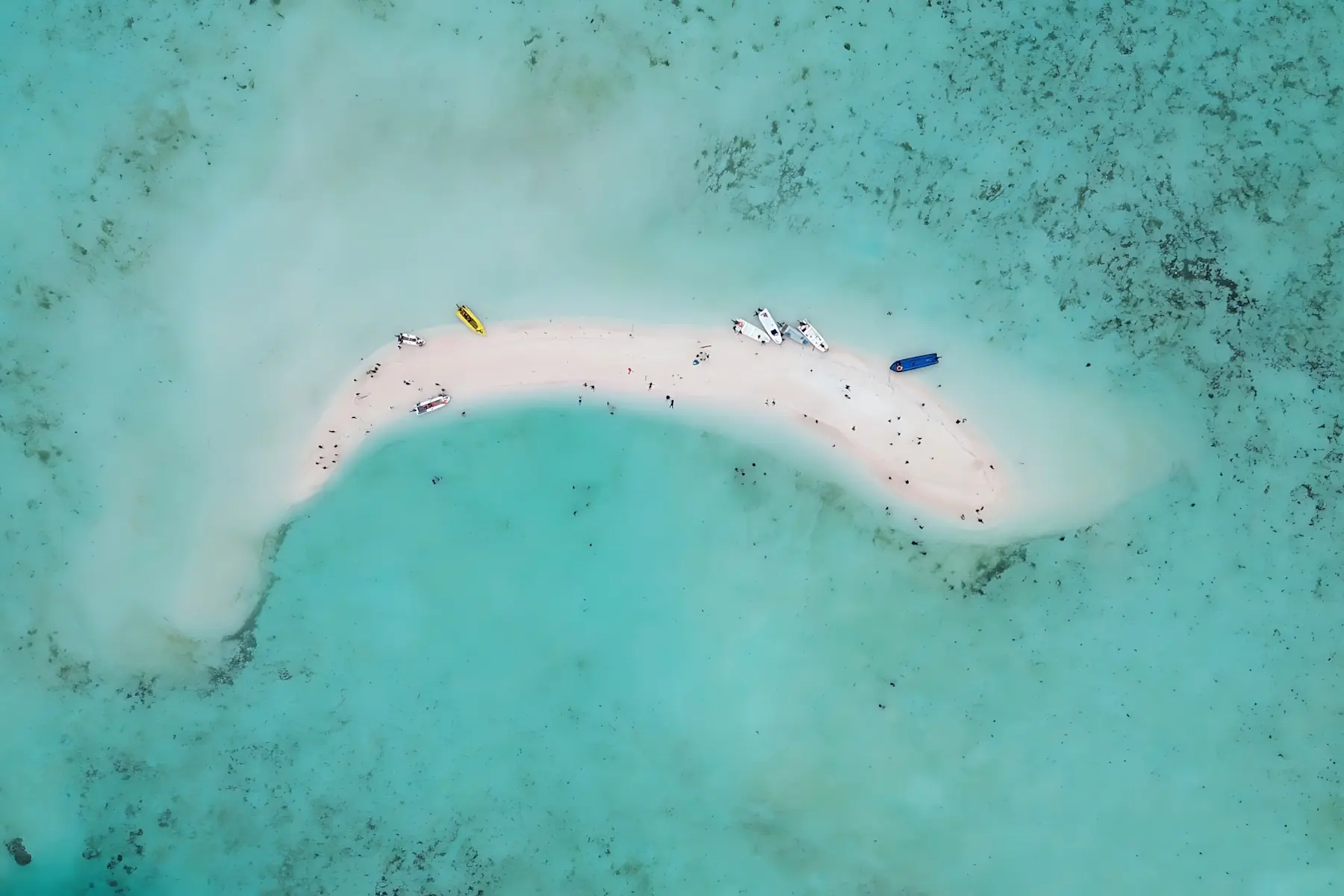 白沙洲航拍 —— 退潮时浮出海面的弧形沙洲，四周尽是浅绿